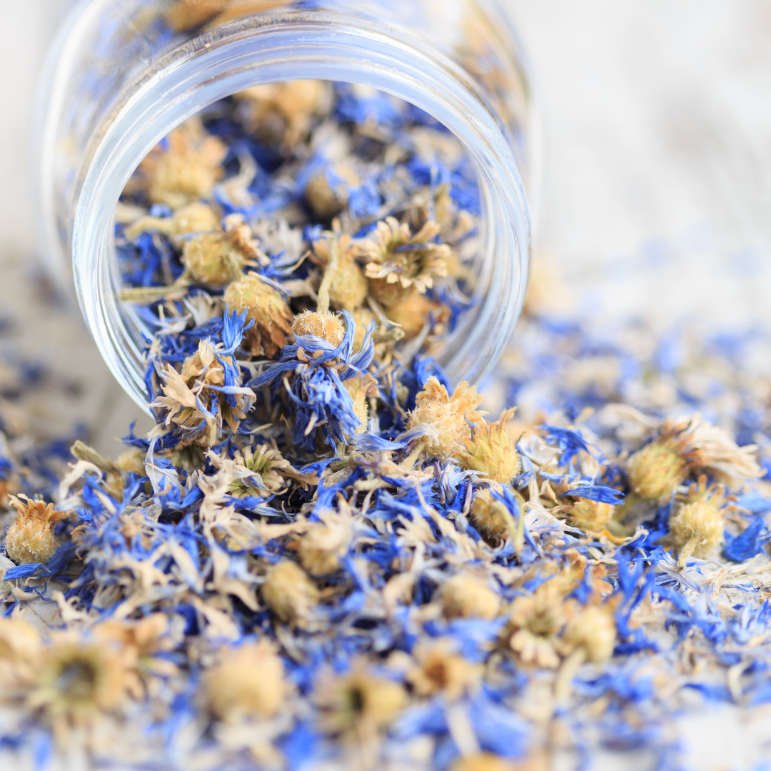 Blue Cornflower 50g