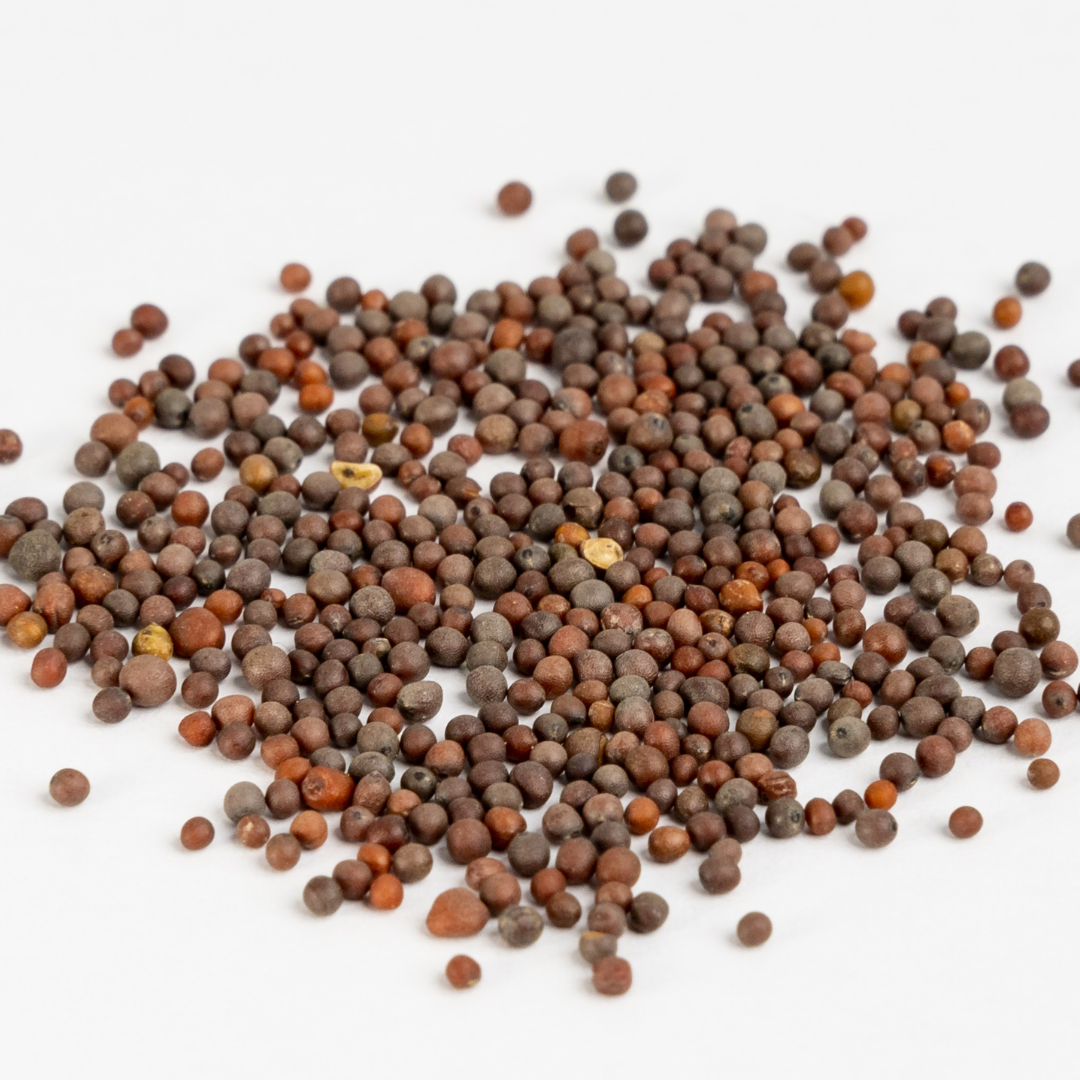 Brown Mustard Seeds 500g