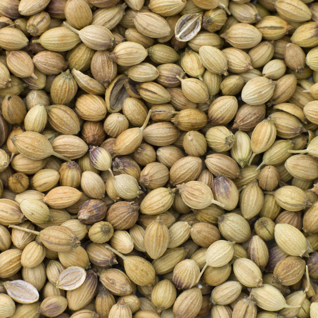 Coriander Seeds 100g