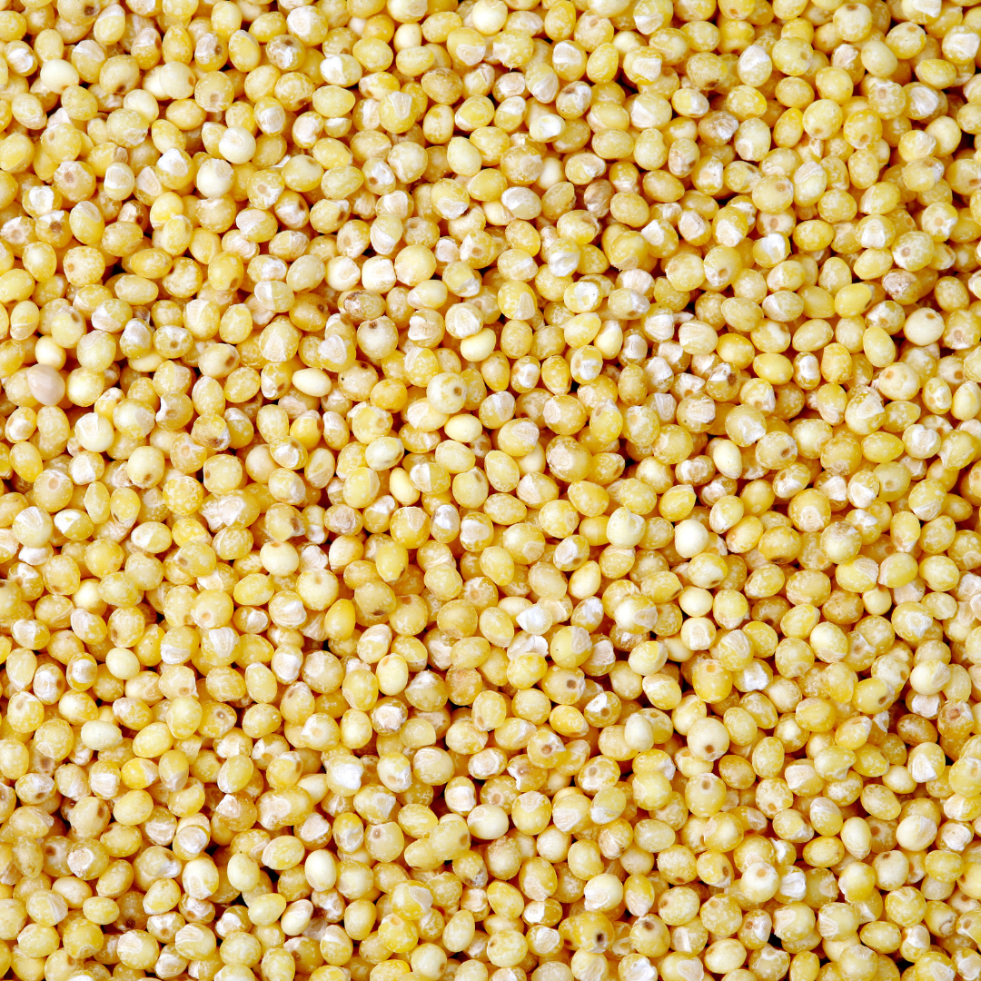 Millet Grain 500g