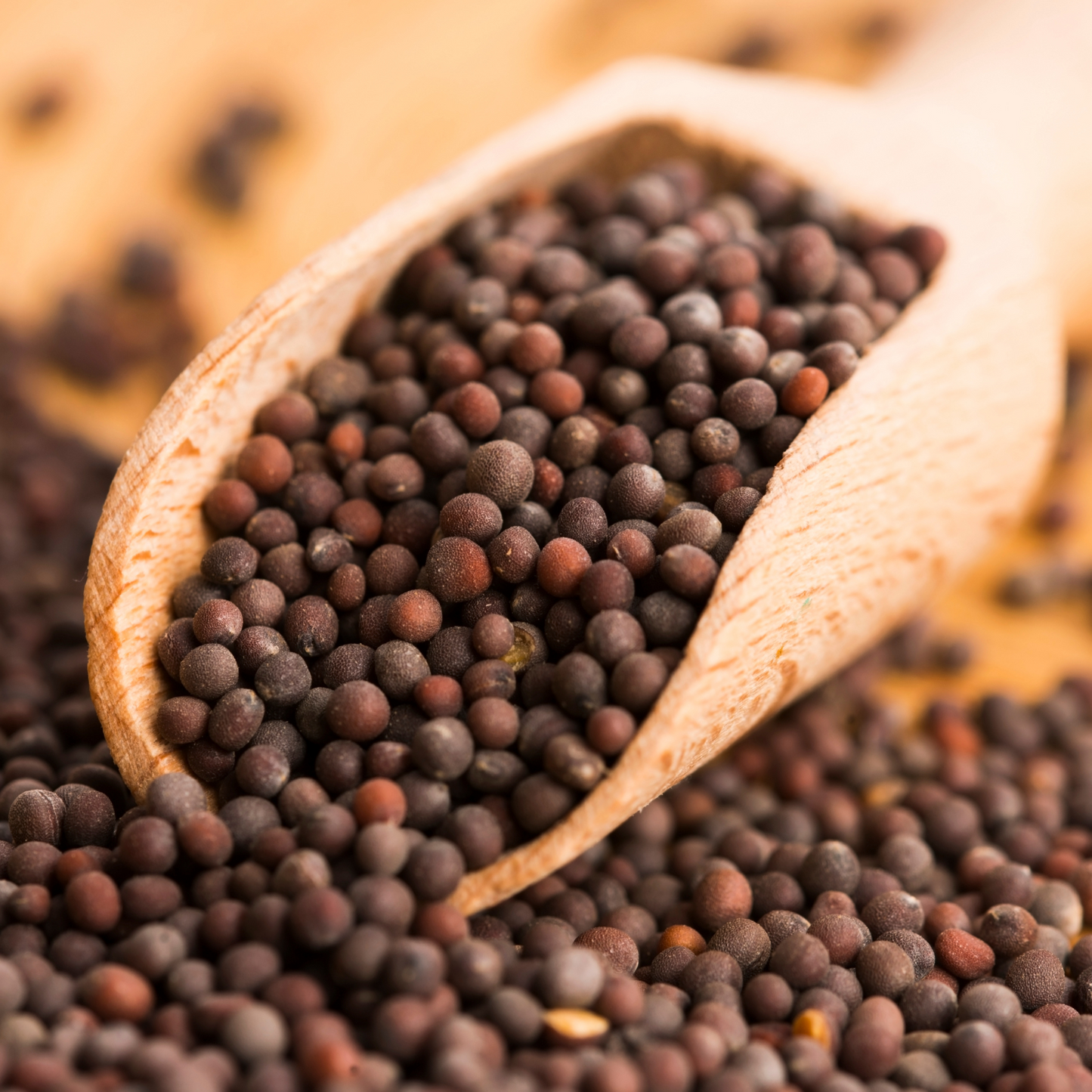 Brown Mustard Seeds - 100% Organic Brown Mustard Seeds 500g